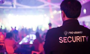 Home - Pro-Guard Security