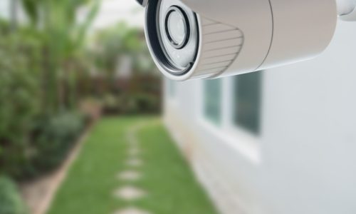Home Security Camera in back garden